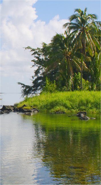 Hilo Bay